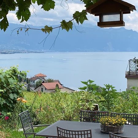 Ferienwohnung La Gremillette Gourmande Lavaux Rivaz Exterior foto