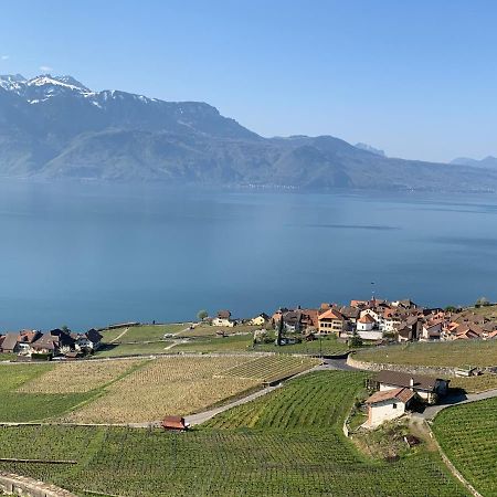 Ferienwohnung La Gremillette Gourmande Lavaux Rivaz Exterior foto