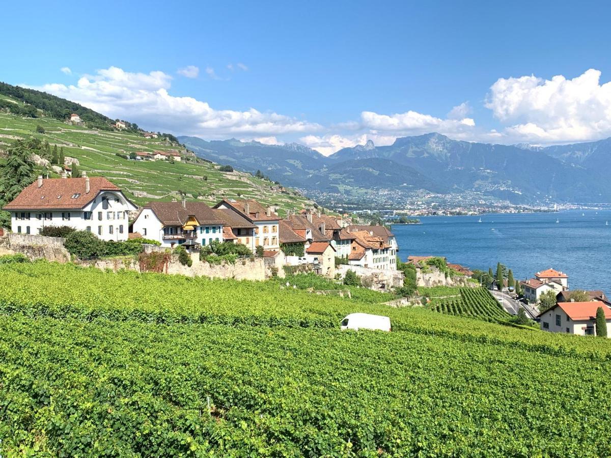 Ferienwohnung La Gremillette Gourmande Lavaux Rivaz Exterior foto
