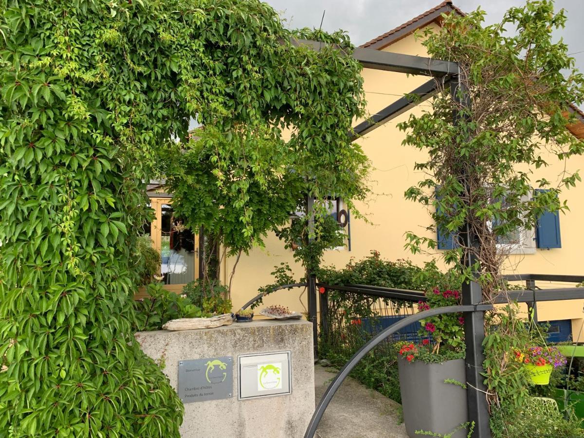 Ferienwohnung La Gremillette Gourmande Lavaux Rivaz Exterior foto