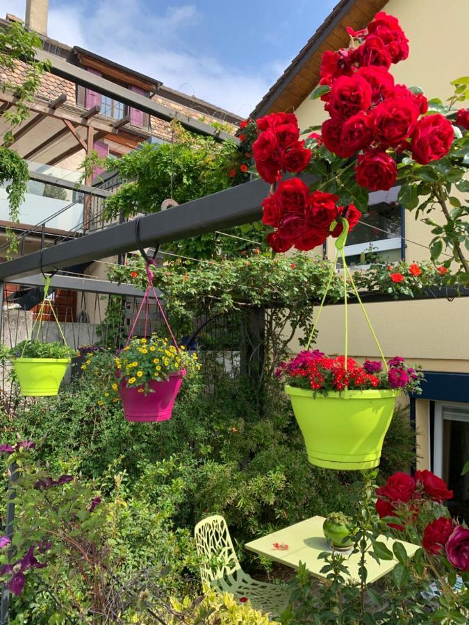 Ferienwohnung La Gremillette Gourmande Lavaux Rivaz Exterior foto