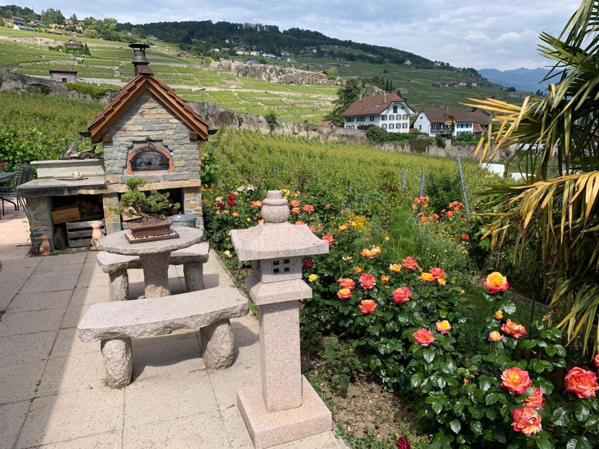 Ferienwohnung La Gremillette Gourmande Lavaux Rivaz Exterior foto
