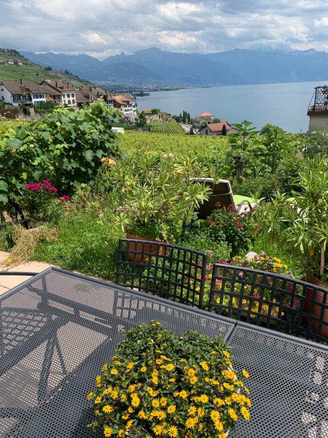 Ferienwohnung La Gremillette Gourmande Lavaux Rivaz Exterior foto
