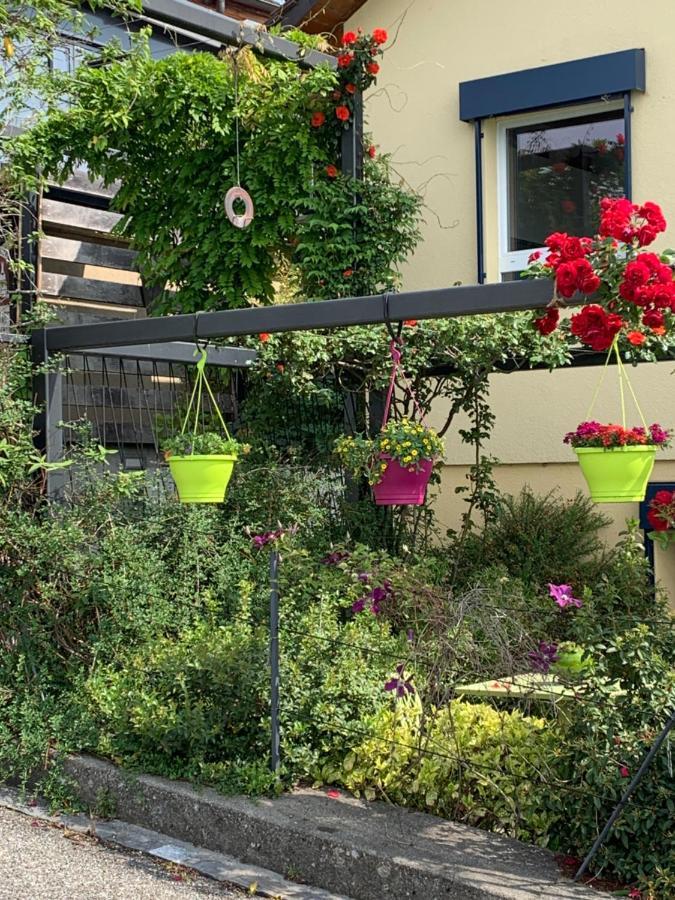 Ferienwohnung La Gremillette Gourmande Lavaux Rivaz Exterior foto