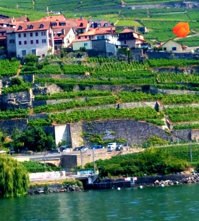 Ferienwohnung La Gremillette Gourmande Lavaux Rivaz Exterior foto
