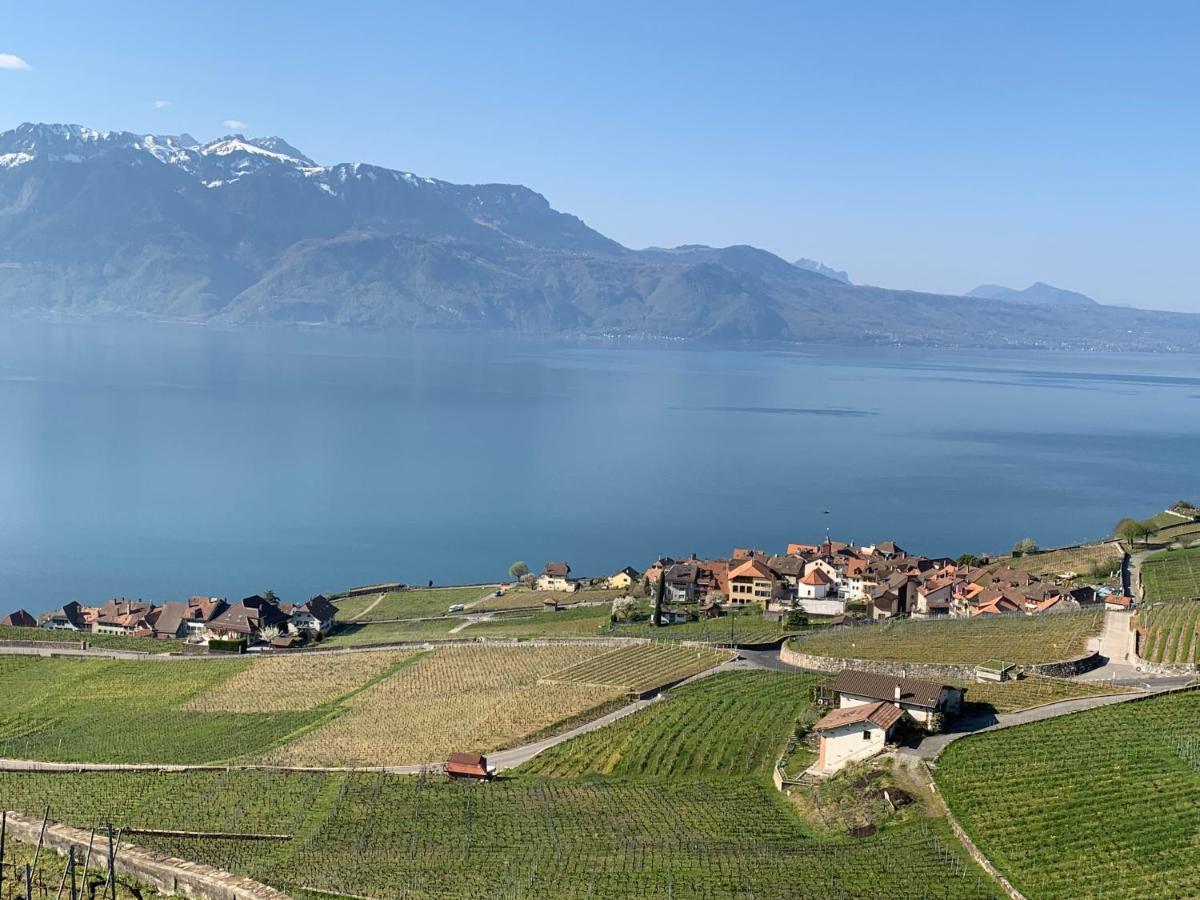 Ferienwohnung La Gremillette Gourmande Lavaux Rivaz Exterior foto