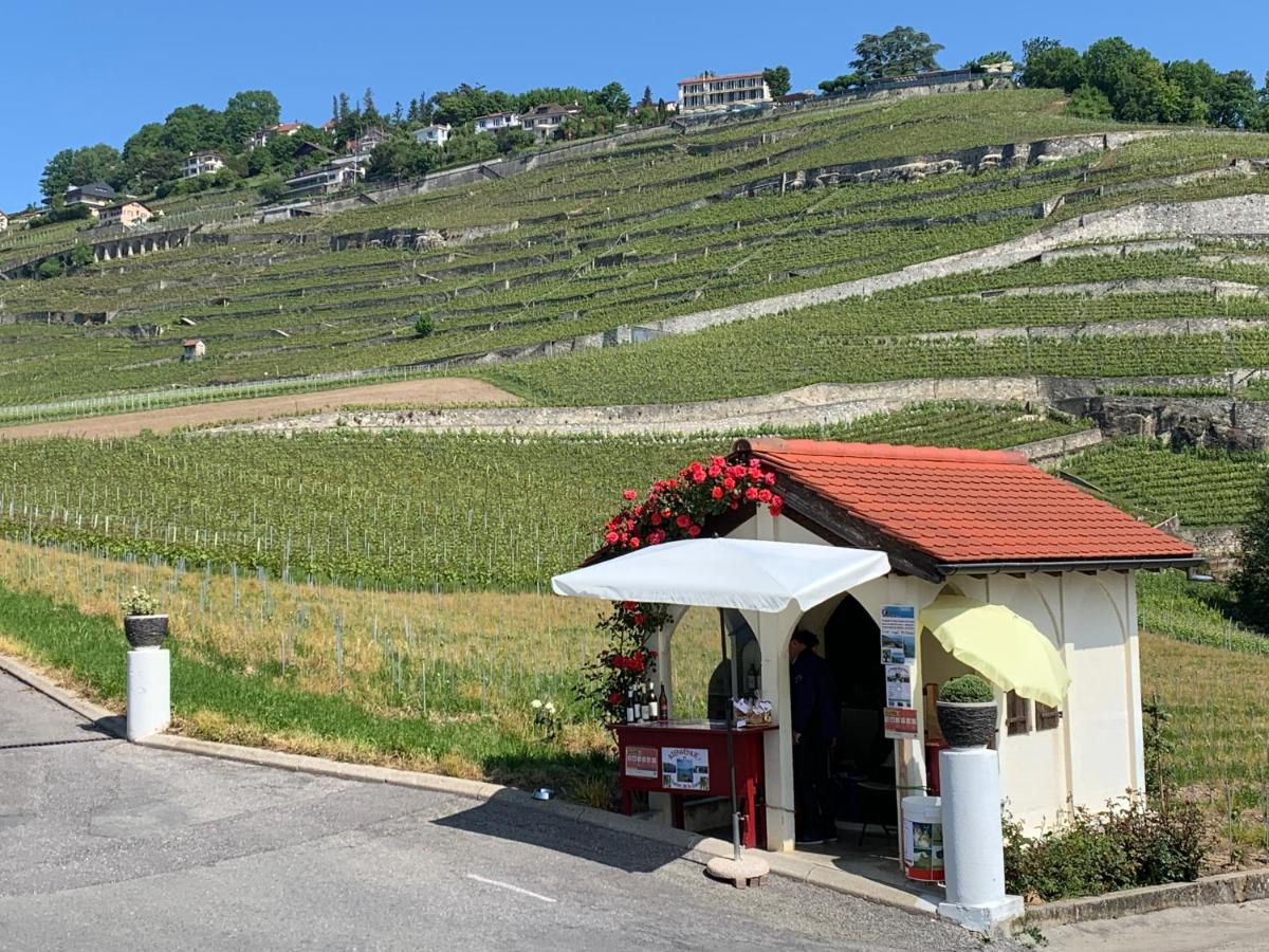 Ferienwohnung La Gremillette Gourmande Lavaux Rivaz Exterior foto