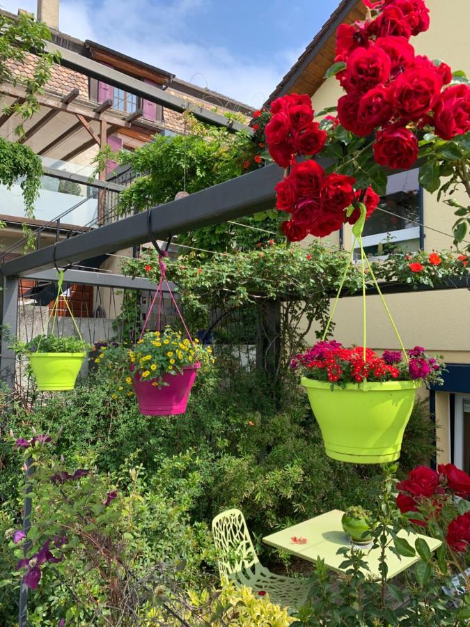 Ferienwohnung La Gremillette Gourmande Lavaux Rivaz Exterior foto